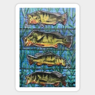 Peacock bass dream team Sticker